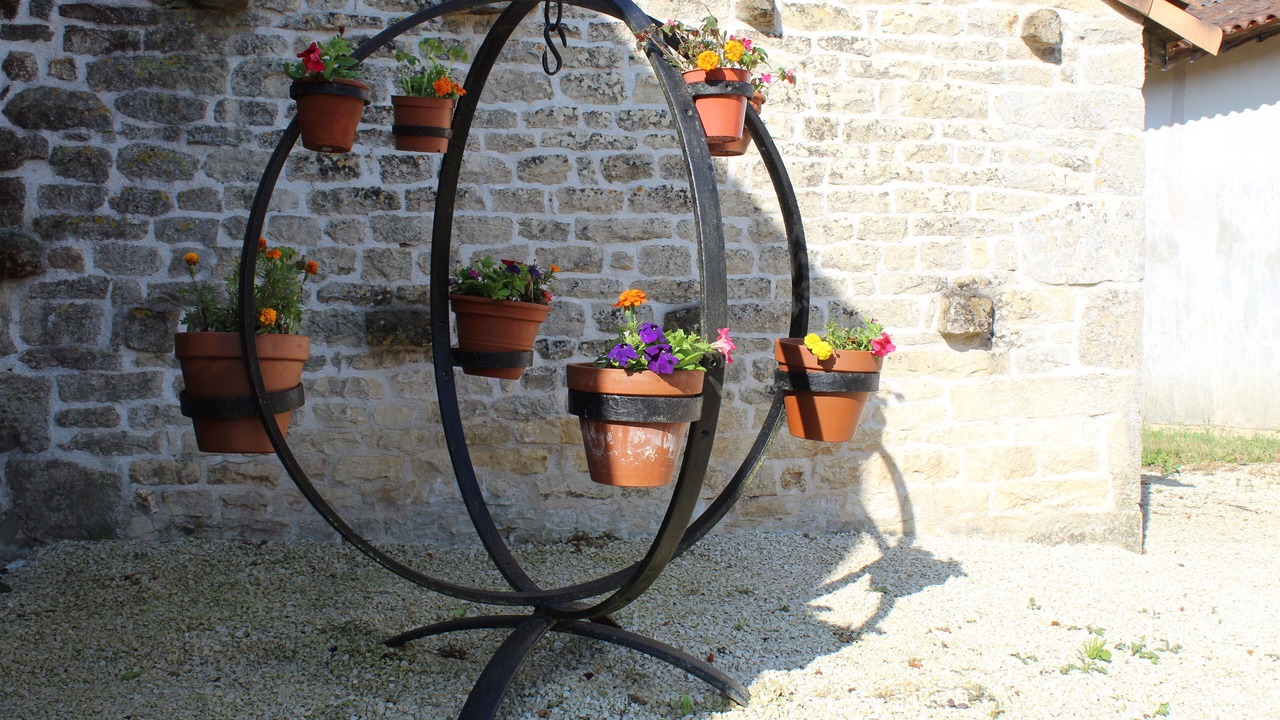 Photo of Outdoor in Saint-Coutant