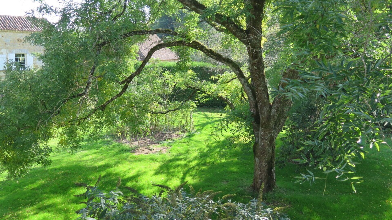 Photo of Outdoor in Saint-Georges-de-Montclard