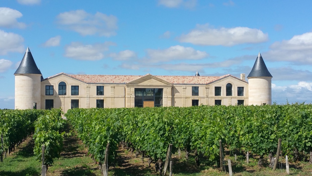 Photo of Outdoor in Saint-Estephe