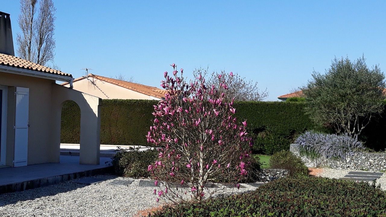 Photo of Outdoor in Ludon-Medoc