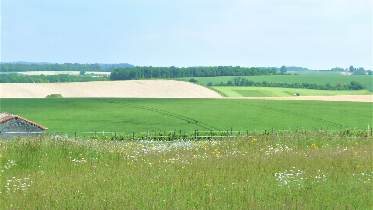 Photo of Others in Sud Charente