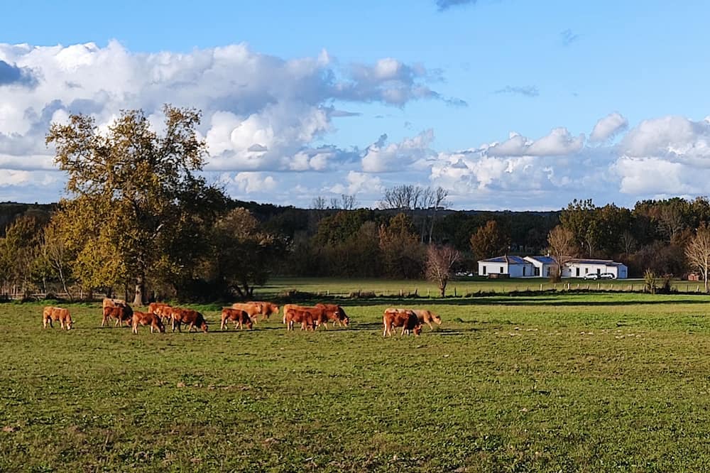 Photo of Outdoor in Saint-Savin