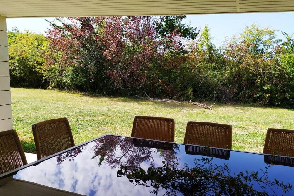Photo of Outdoor in Saint-Savin