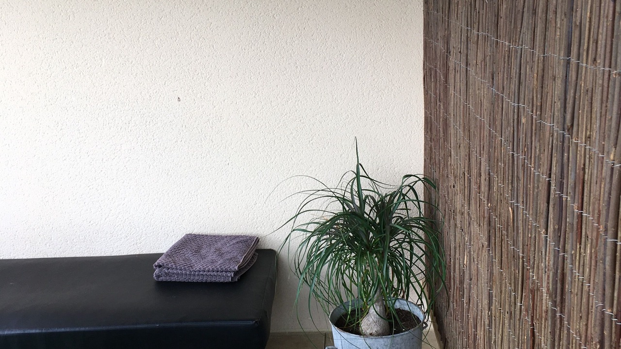 Photo of Patio Balcony in Saint-Martial-de-Valette