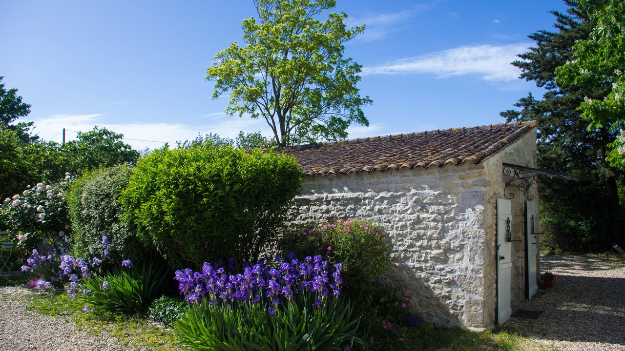 Photo of Outdoor in Dompierre-sur-Mer