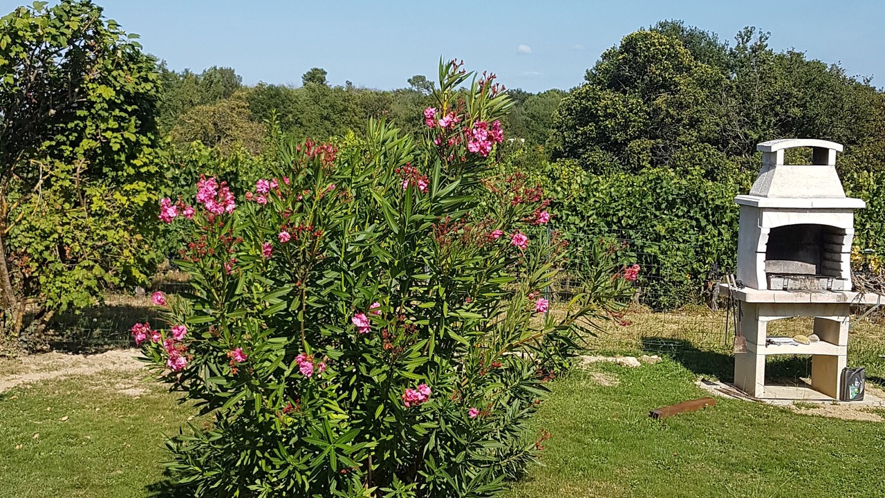 Photo of Outdoor in Loupes