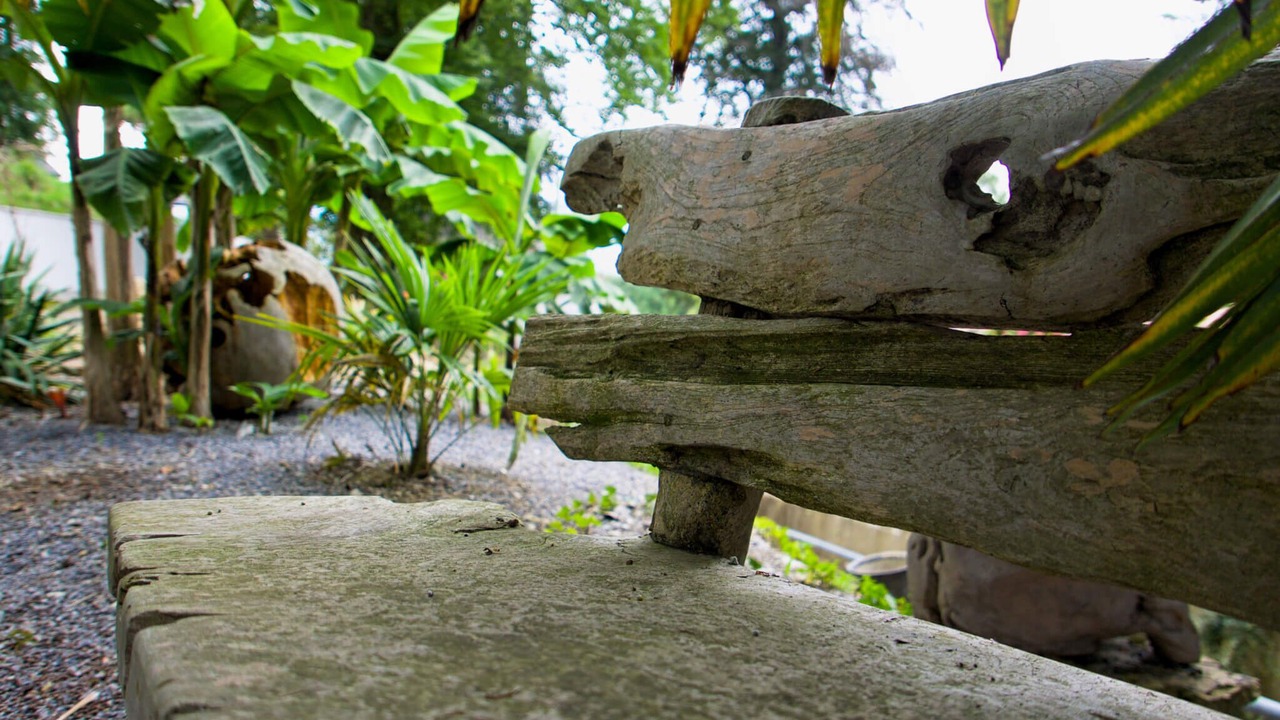 Photo of Outdoor in Sevignacq-Meyracq