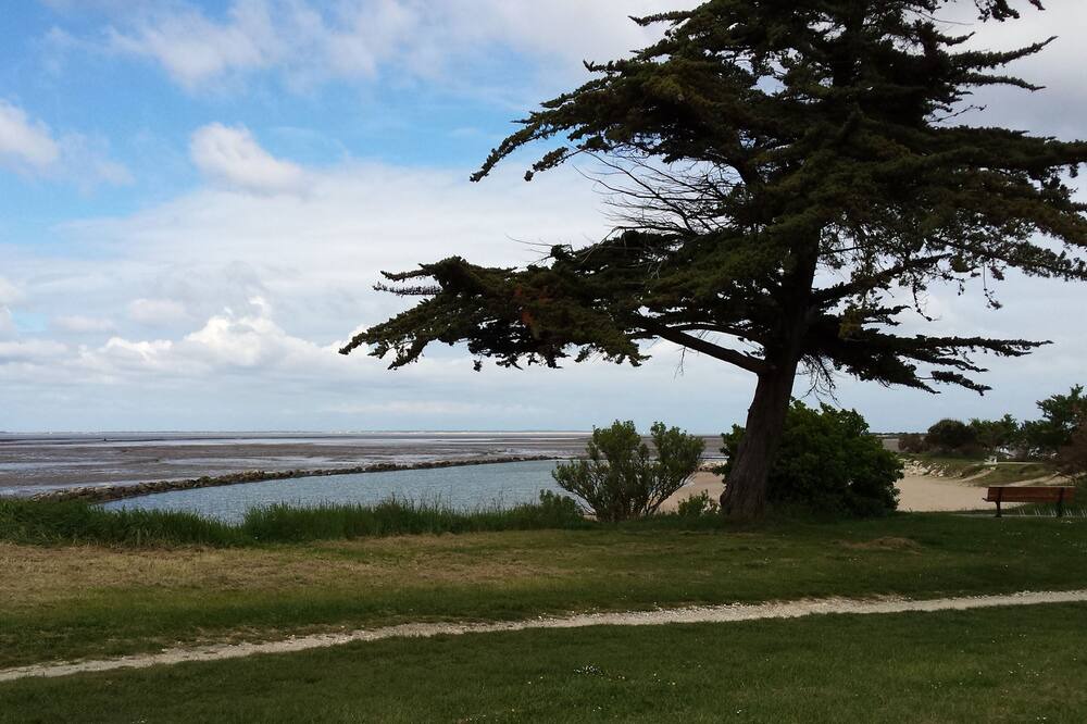 Photo of Outdoor in Saint Froult