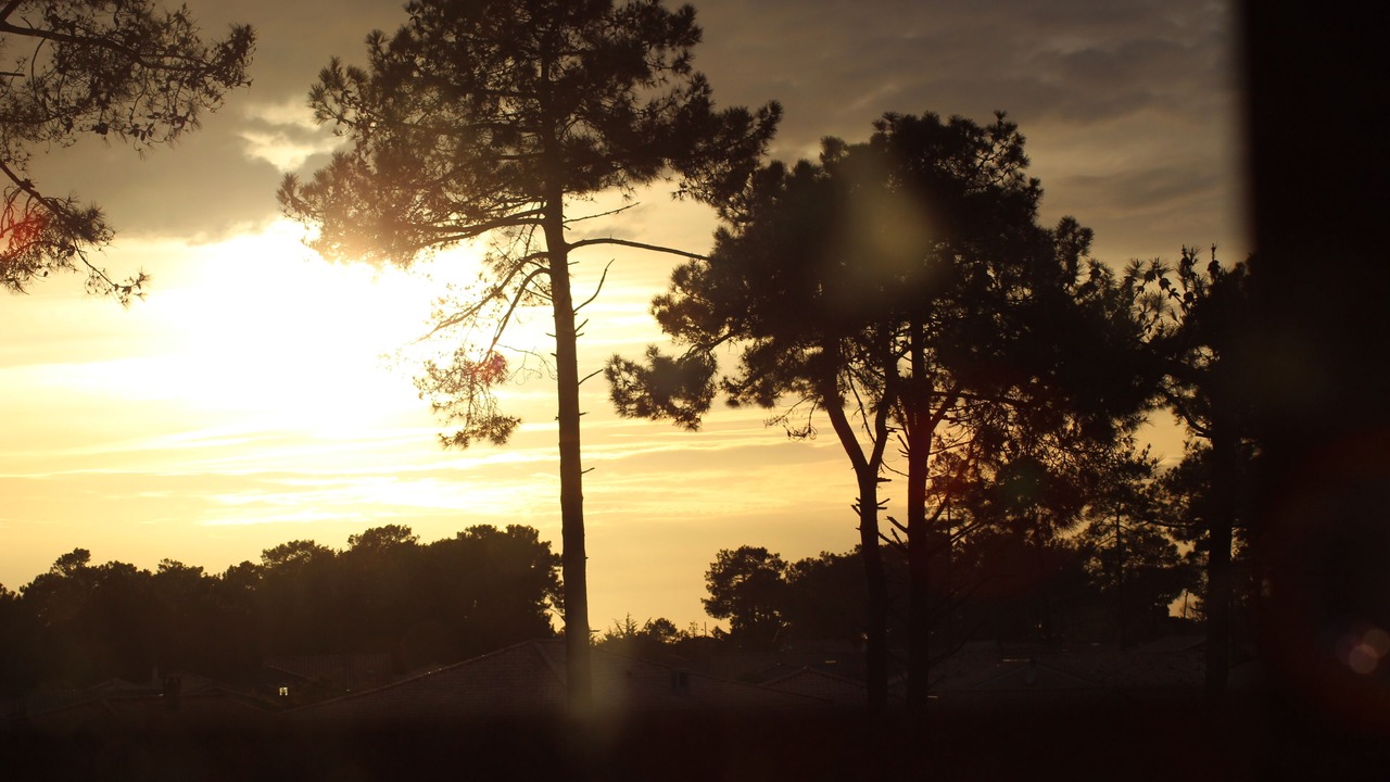 Photo of Outdoor in Vendays-Montalivet