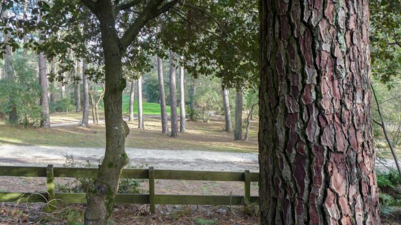 Photo of Outdoor in Lacanau-Ocean