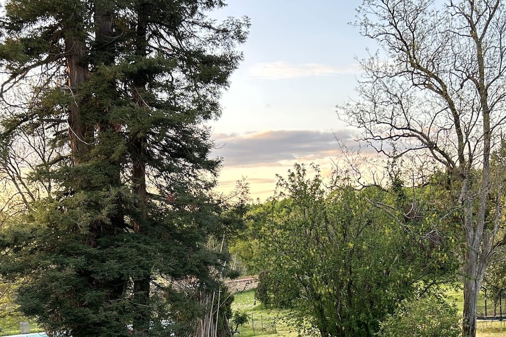 Photo of Outdoor in Rancogne