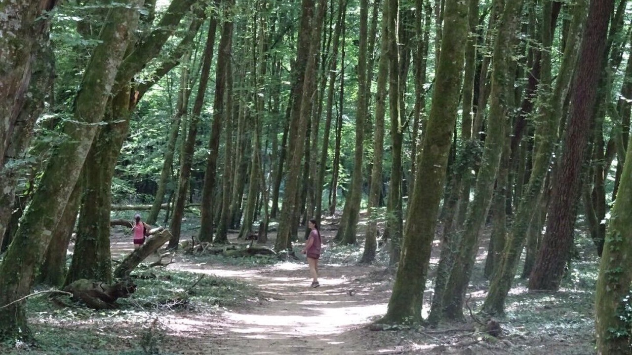 Photo of Outdoor in Villefranche-du-Perigord