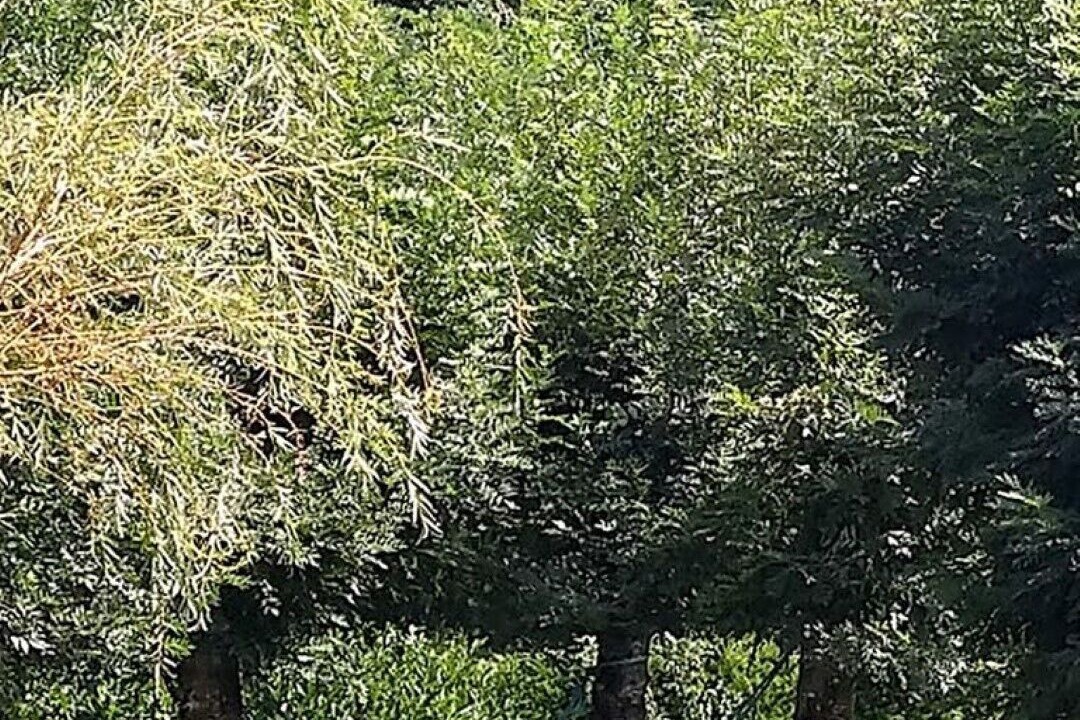 Photo of Outdoor in Villefranche-du-Perigord