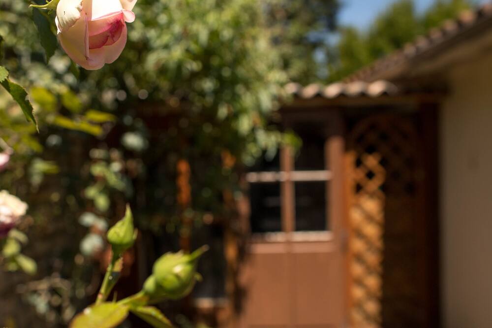 Photo of Outdoor in Montamise