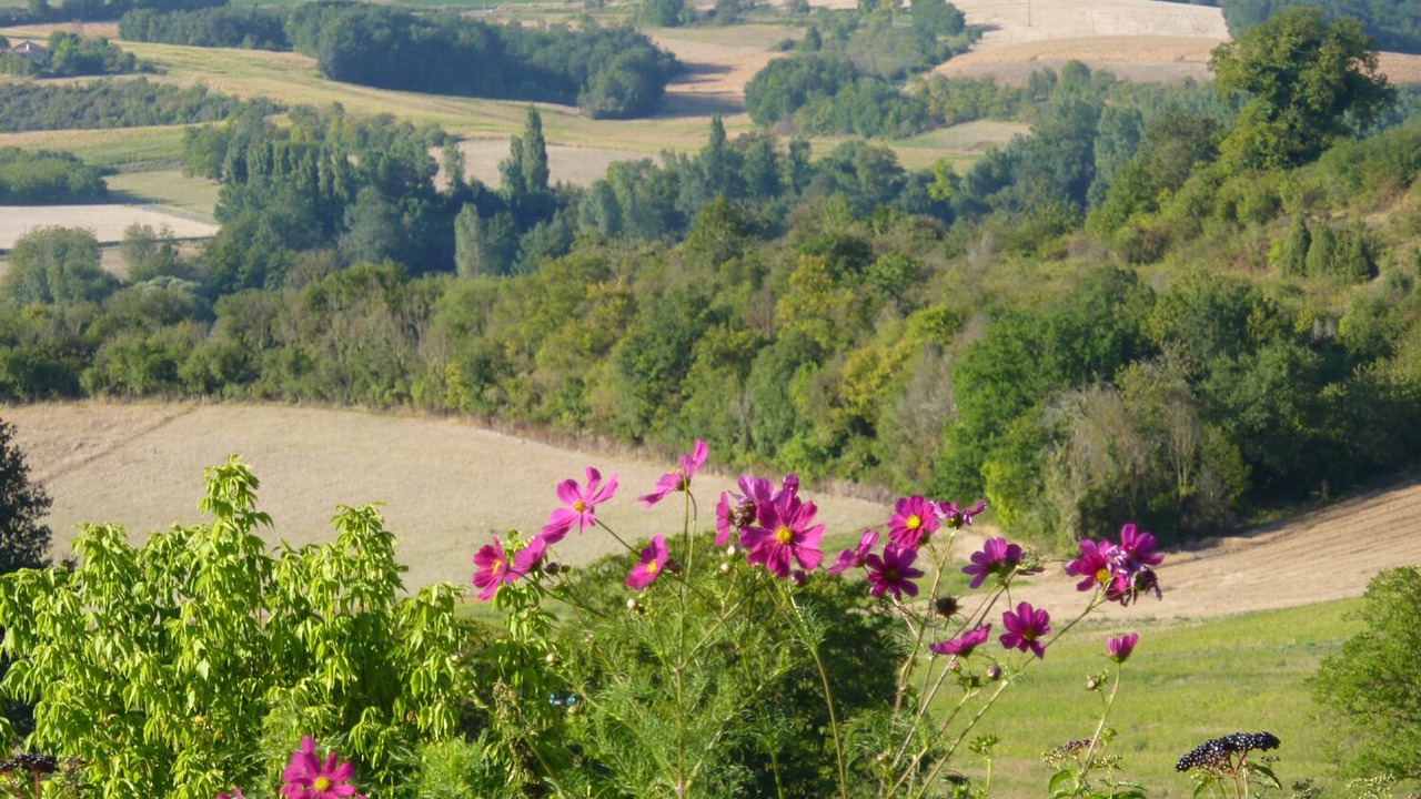 Photo of Outdoor in Bouteilles-Saint-Sebastien