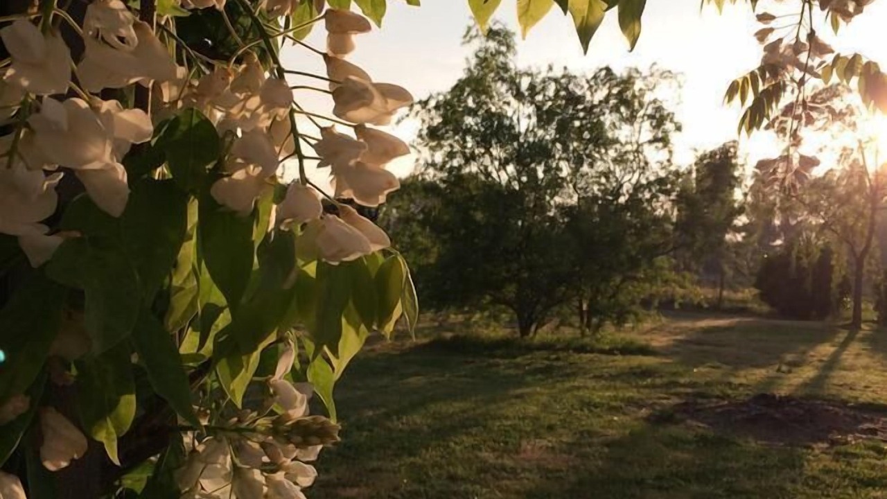Photo of Outdoor in Queyrac