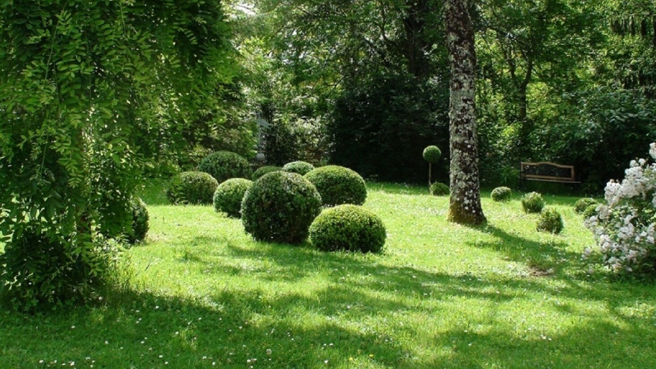 Photo of Outdoor in Lamonzie-Montastruc