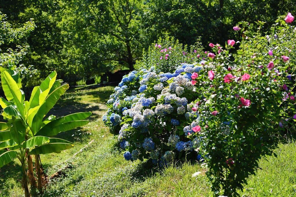 Photo of Outdoor in La Bastide-Clairence