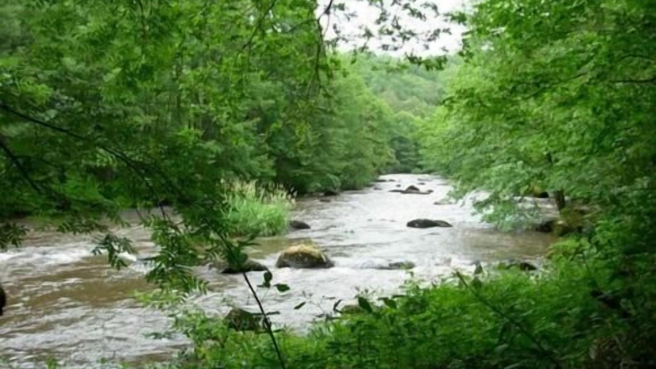 Photo of Outdoor in Bessines-sur-Gartempe