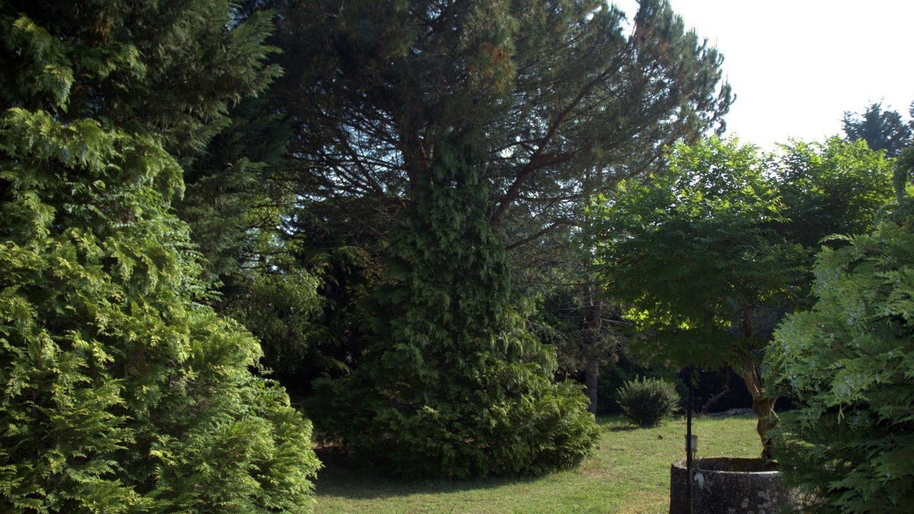 Photo of Outdoor in Montussan