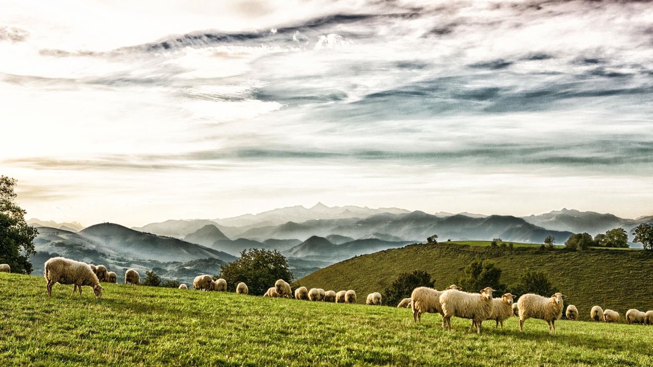 Photo of Outdoor in Larrau