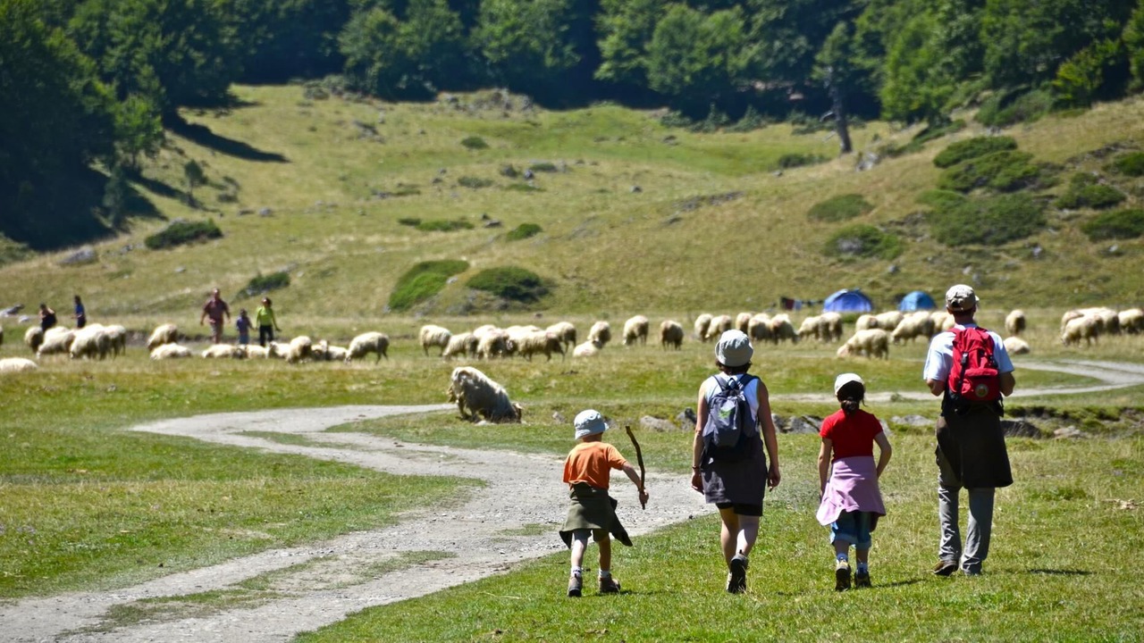 Photo of Outdoor in Larrau