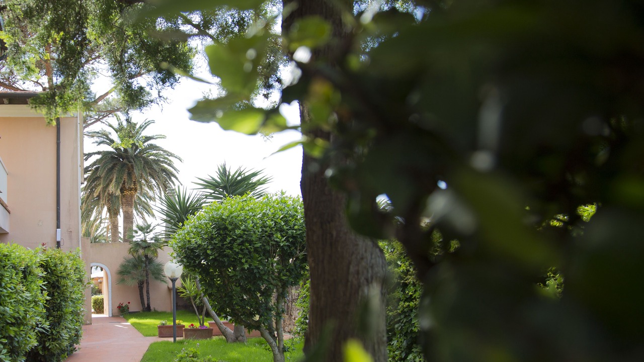 Photo of Outdoor in Bagnaia