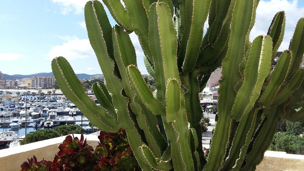 Photo of Outdoor in Le Lavandou