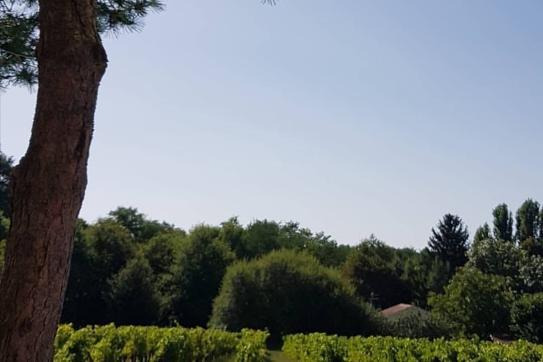 Photo of Outdoor in Saint-Caprais-de-Bordeaux