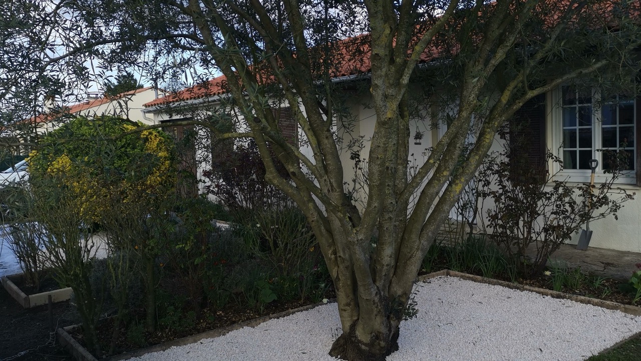 Photo of Outdoor in Aigrefeuille-d'Aunis