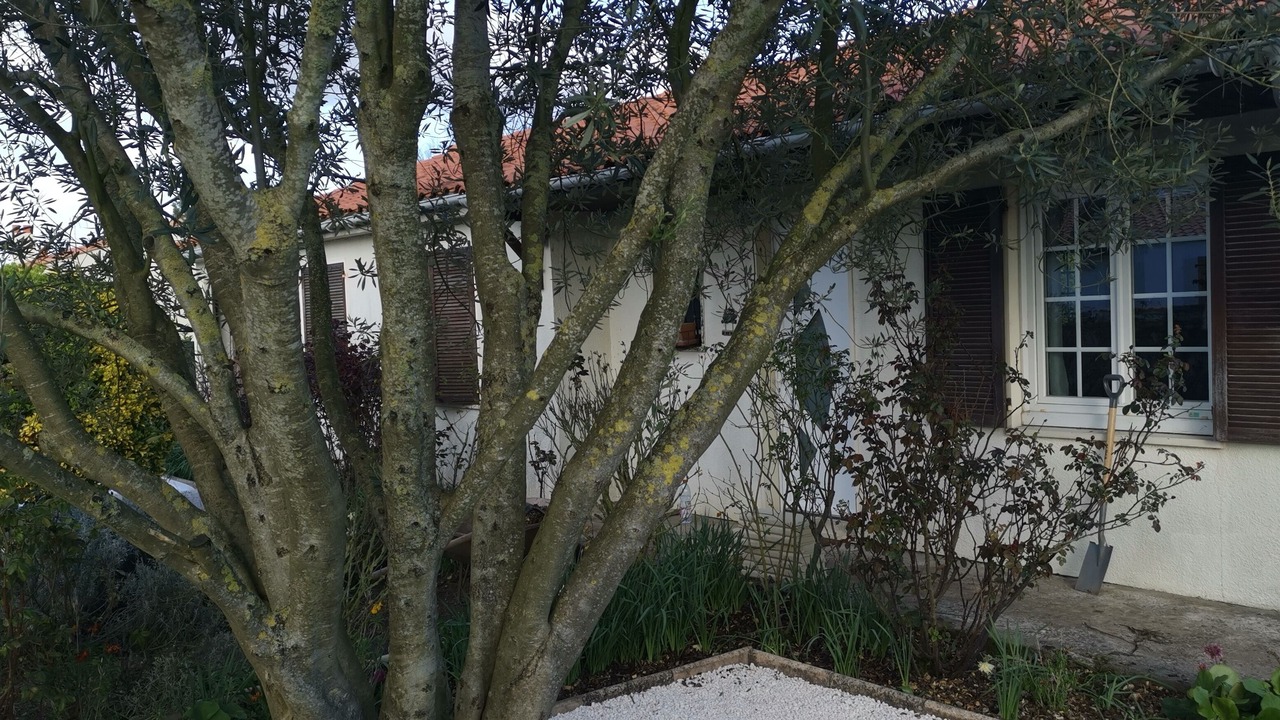 Photo of Others in Aigrefeuille-d'Aunis
