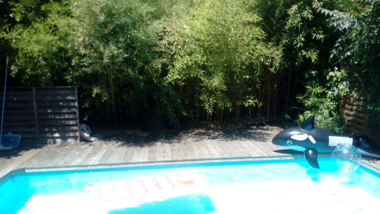 Photo of Outdoor in Victor Hugo - Saint-Augustin