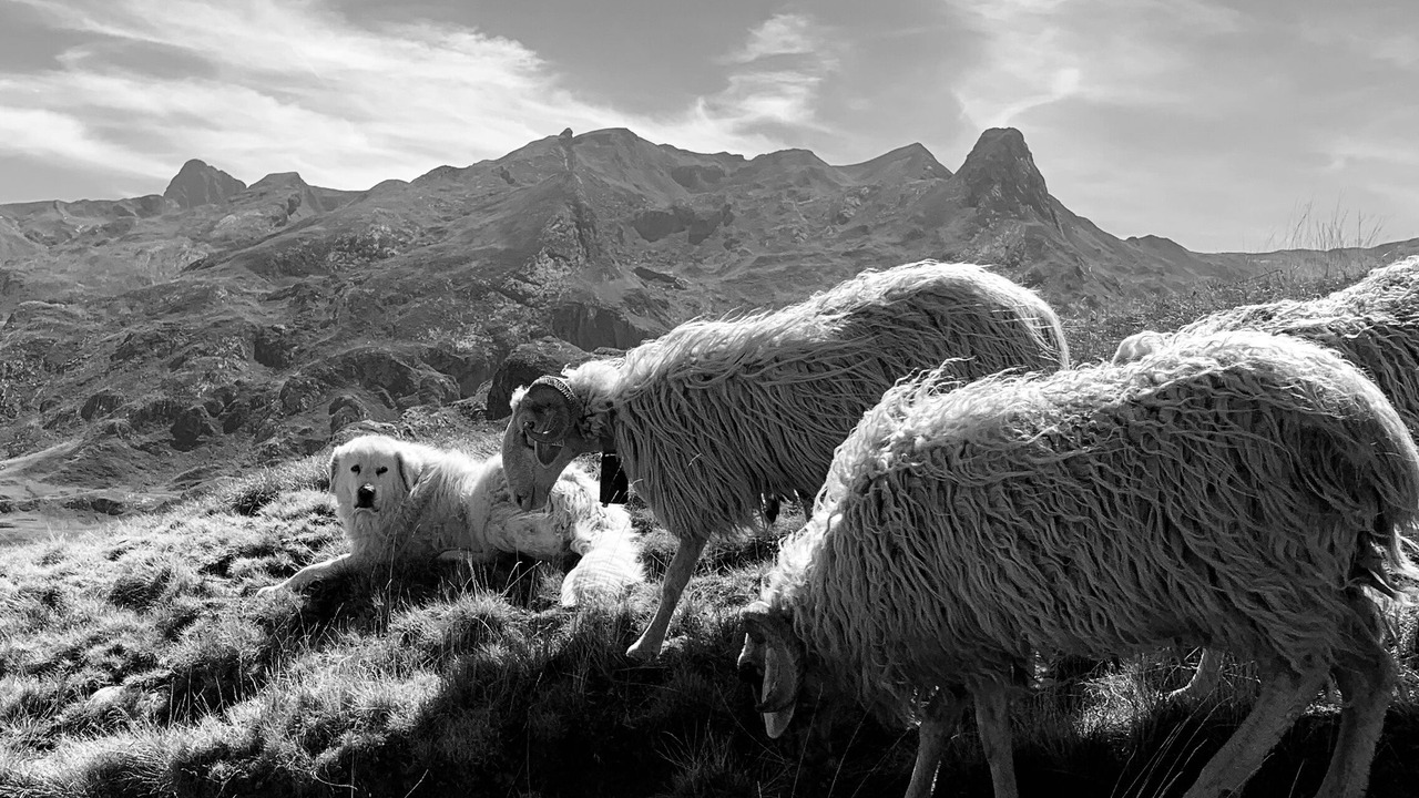 Photo of Others in Laruns