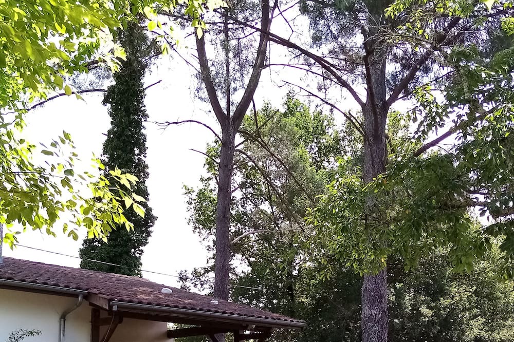 Photo of Outdoor in Saint-Morillon