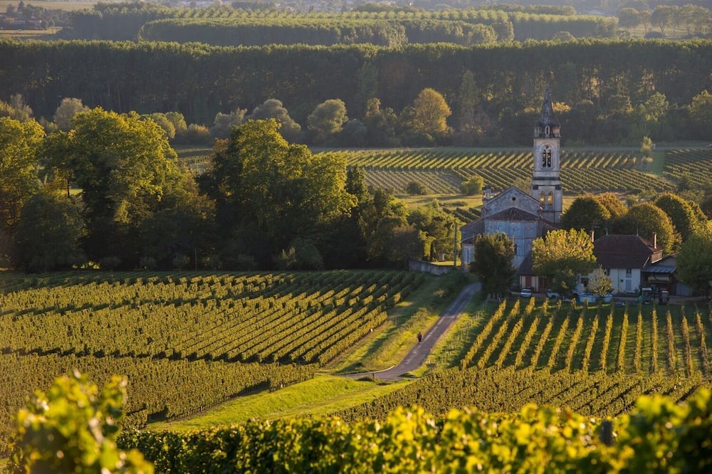 Photo of Outdoor in Saint-Morillon