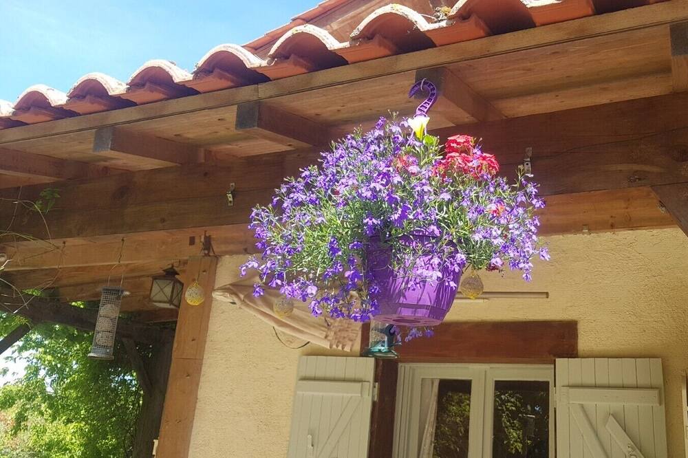 Photo of Outdoor in Bouteilles-Saint-Sebastien