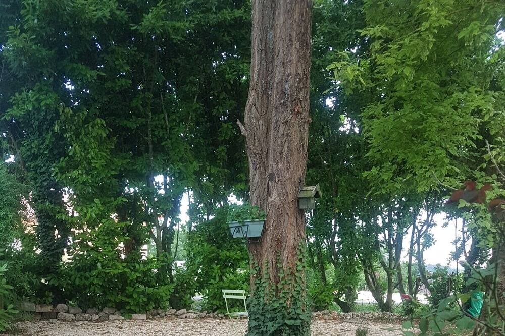 Photo of Outdoor in Bouteilles-Saint-Sebastien