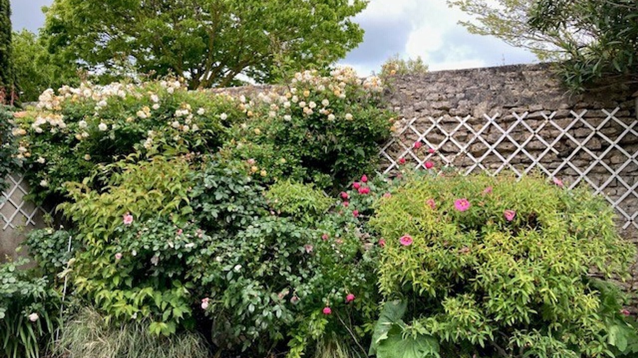 Photo of Outdoor in Saint-Martin-de-Re