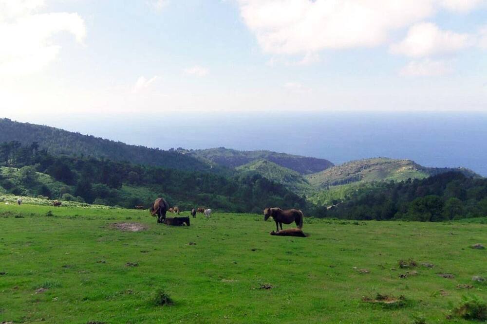 Photo of Others in Urrugne