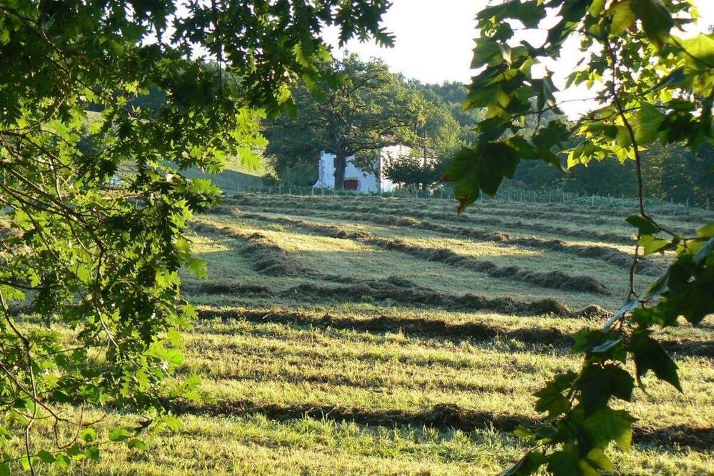 Photo of Outdoor in Urrugne