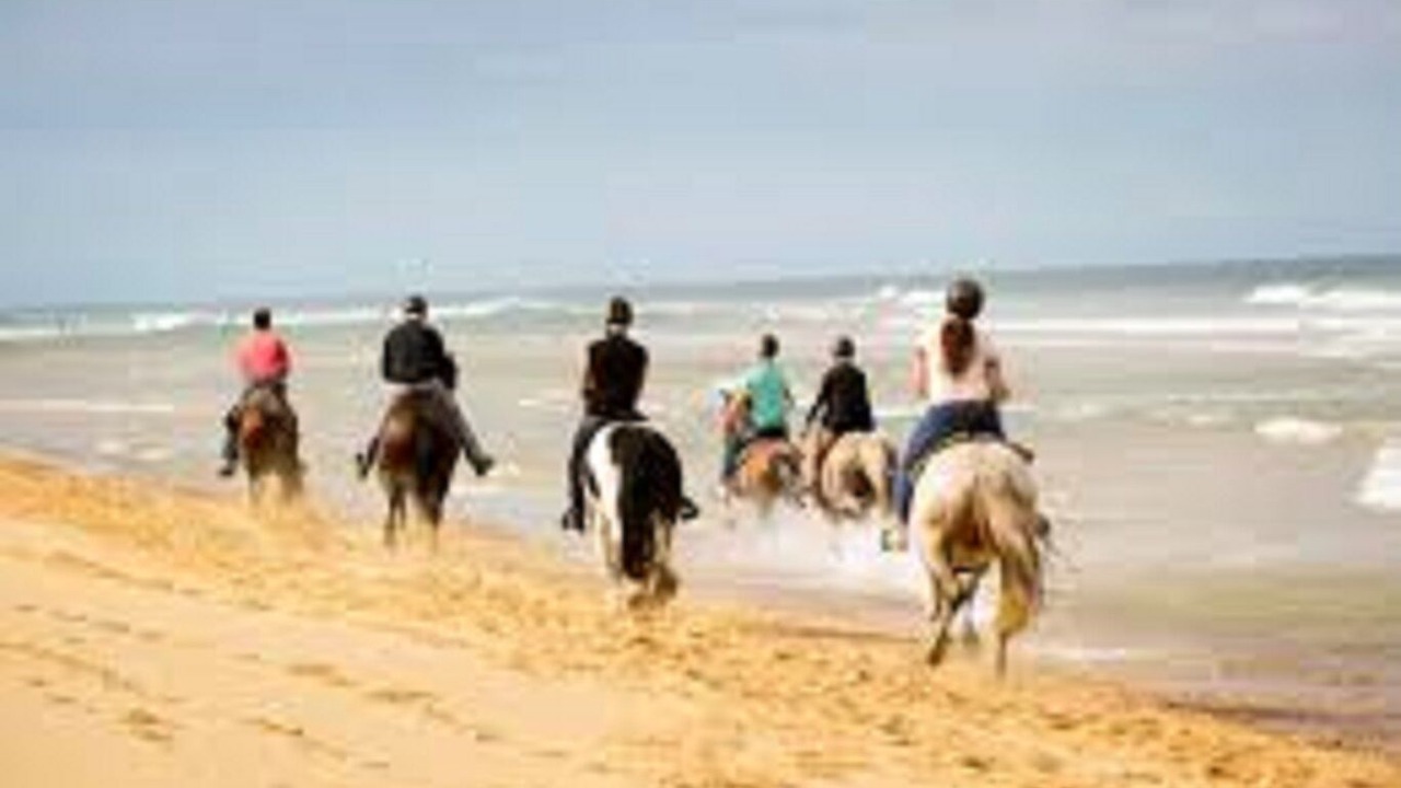 Photo of Others in Saint-Girons Plage