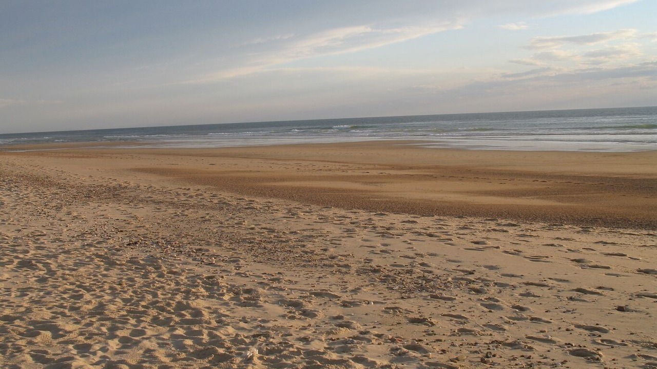 Photo of Others in Saint-Girons Plage
