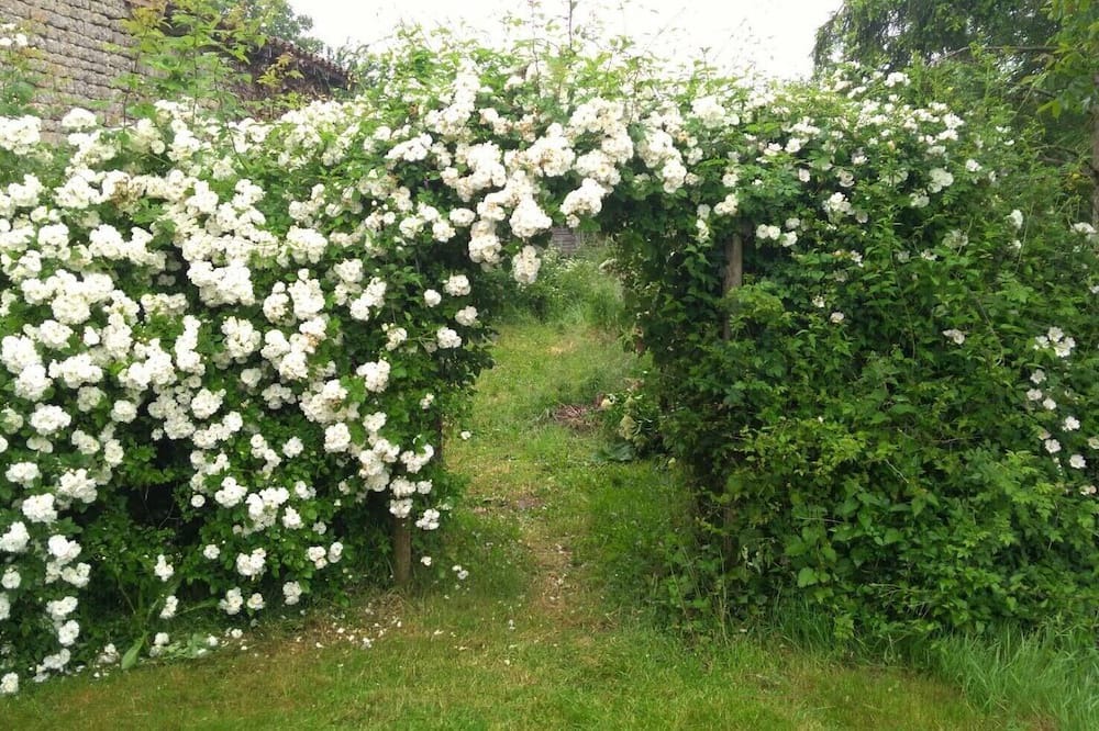 Photo of Outdoor in Paizay-le-Tort