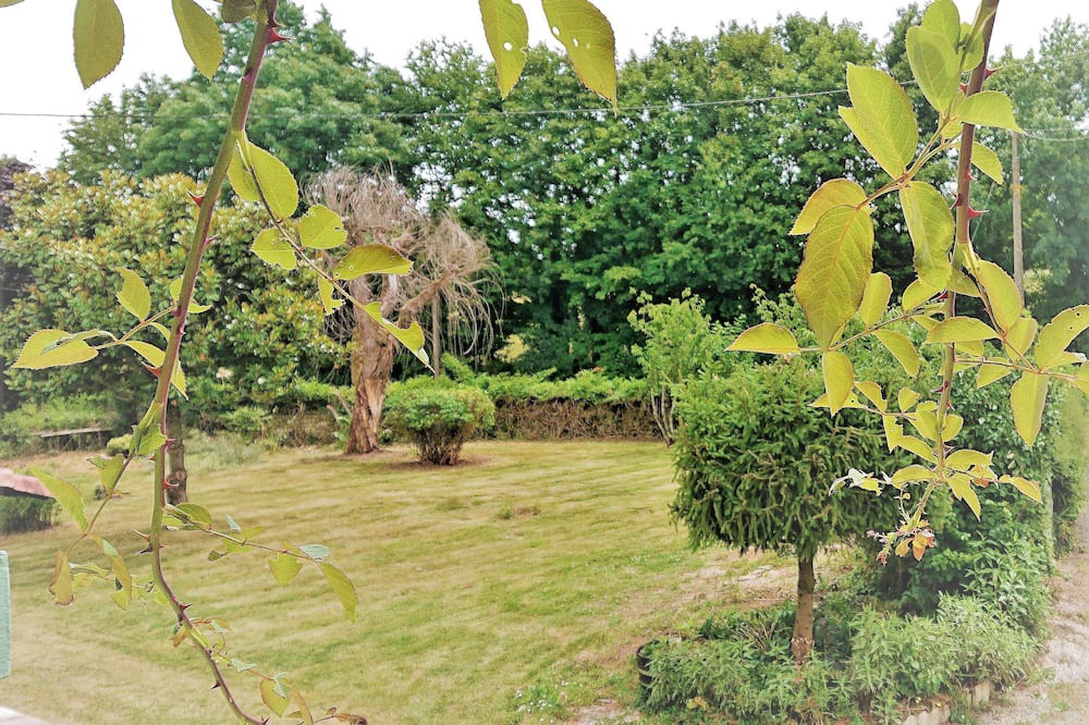 Photo of Outdoor in Paizay-le-Tort