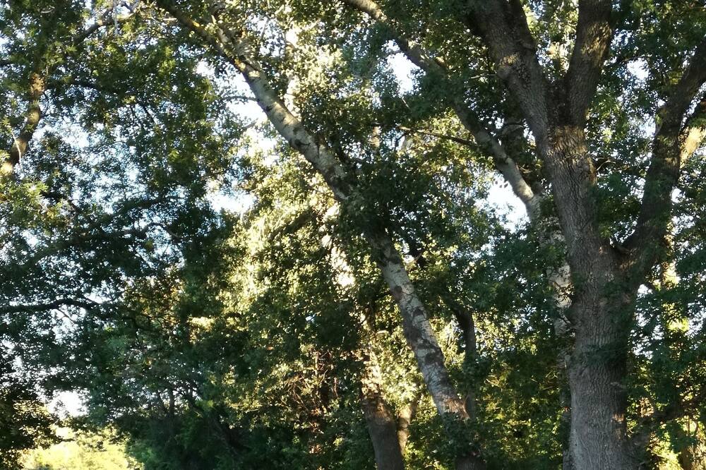 Photo of Outdoor in Aix-en-Provence
