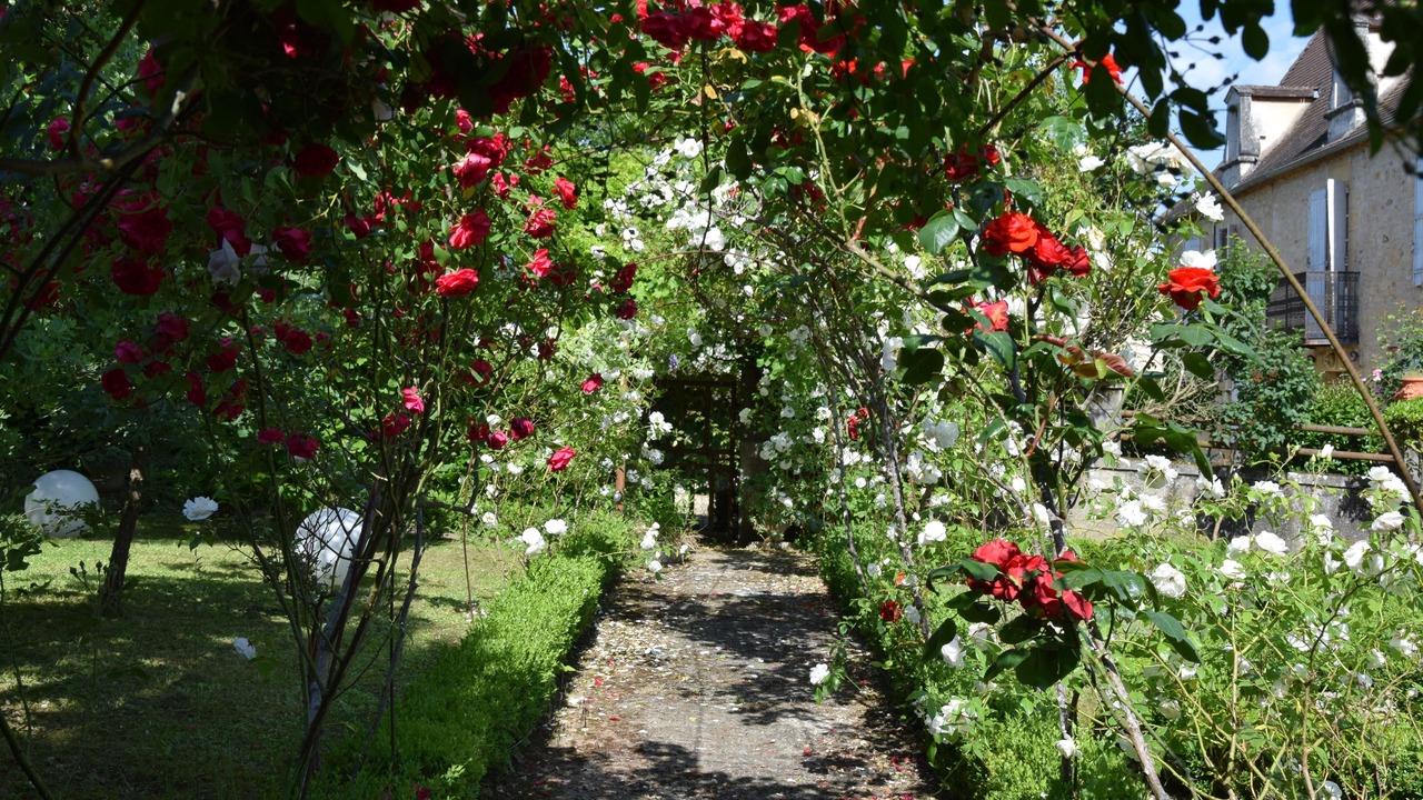 Photo of Outdoor in Le Buisson-de-Cadouin