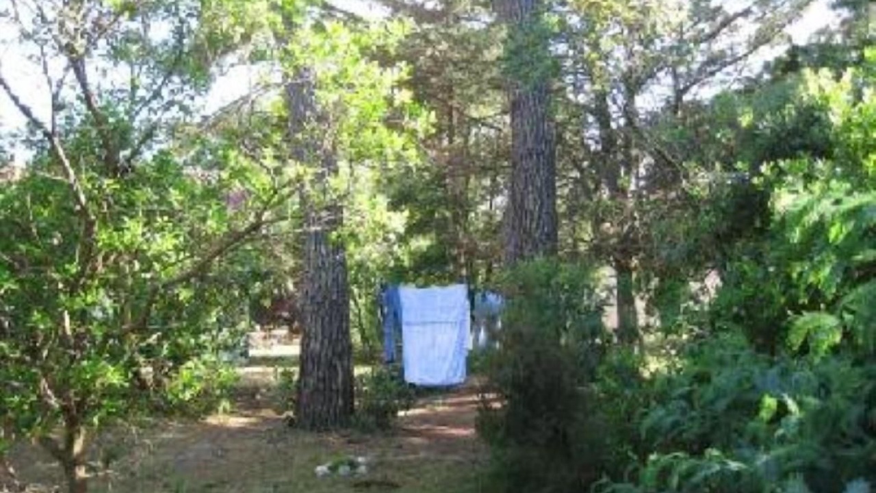 Photo of Outdoor in Vendays-Montalivet