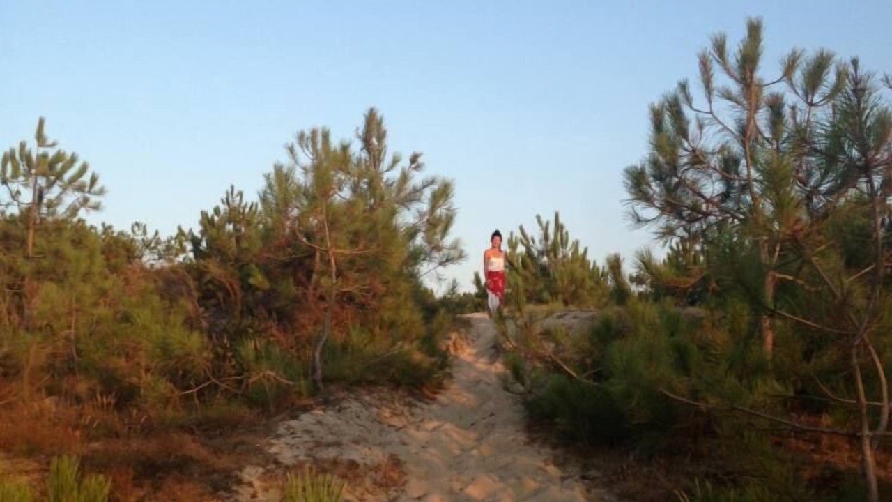 Photo of Outdoor in Vendays-Montalivet