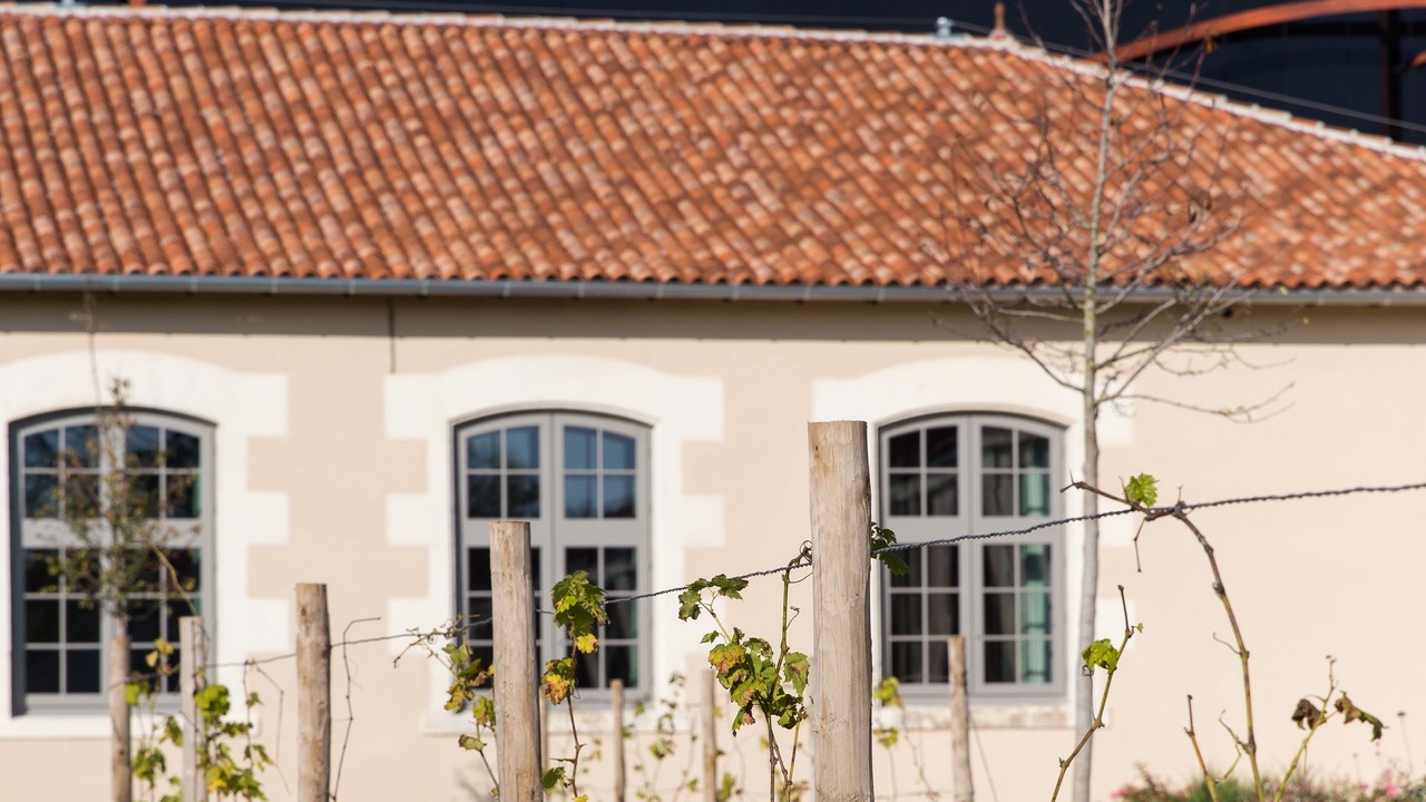 Photo of Outdoor in Cognac