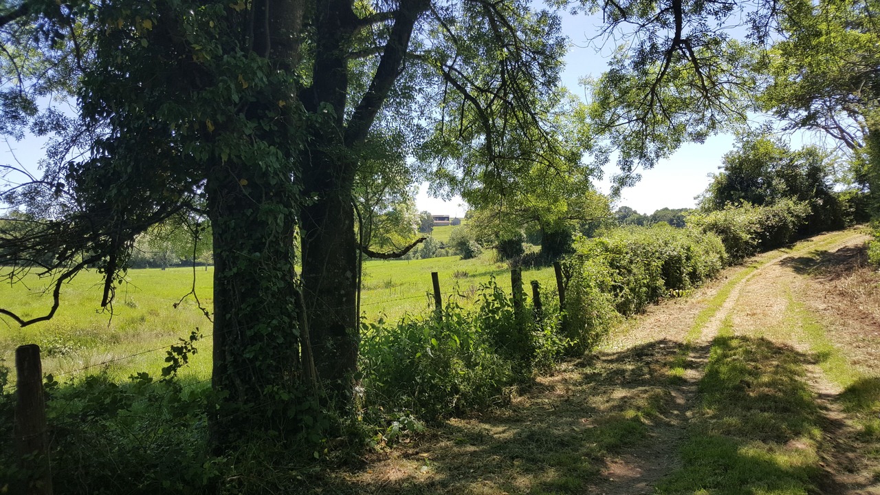 Photo of Outdoor in Asnois